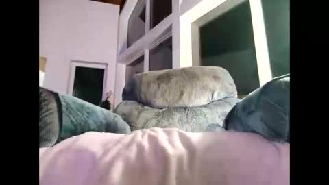 Gil indpendant model exhibitionnist online show from 01/08/25, 01:53