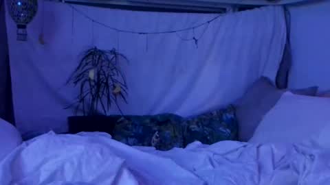 jwolf11851725 online show from 10/29/25, 10:06