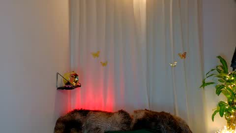 Snapshot of kaaiiri chatting on 06/18/26, 02:45 Kaaiiri online show from 06/18/26, 02:45