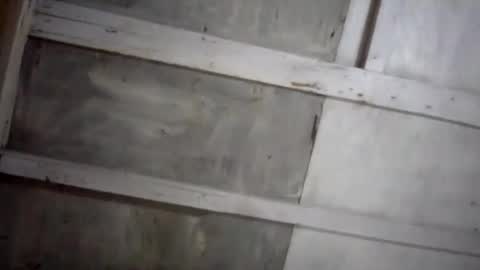 Snapshot of kakaroto30102 chatting on 02/17/25, 08:09 kakaroto30102 online show from 02/17/25, 08:09