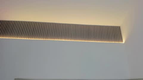 Carolina   online show from 11/19/25, 12:05