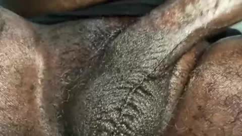 Snookie online show from 12/04/24, 09:40