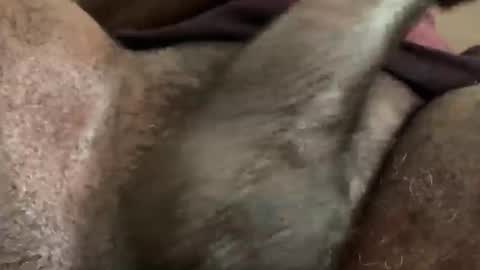 Snookie online show from 12/05/24, 09:39