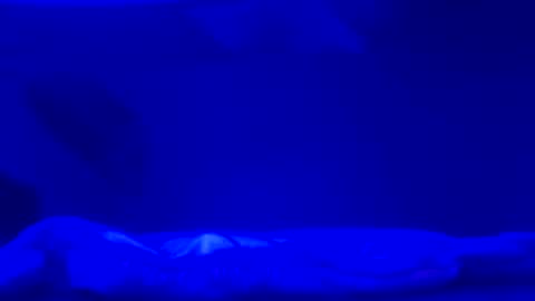 Snapshot of karla_gonzaless chatting on 11/02/25, 06:49 Karla Gonzaless online show from 11/02/25, 06:49