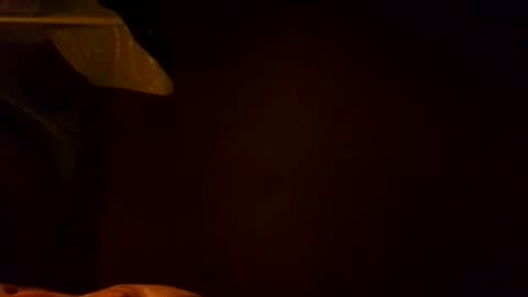 Snapshot of karla_gonzaless chatting on 11/04/25, 06:56 Karla Gonzaless online show from 11/04/25, 06:56