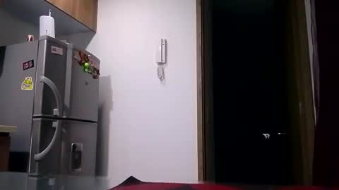 Snapshot of karla_gonzaless chatting on 11/07/25, 07:52 Karla Gonzaless online show from 11/07/25, 07:52