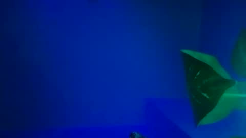 Snapshot of karla_gonzaless chatting on 11/09/25, 06:44 Karla Gonzaless online show from 11/09/25, 06:44