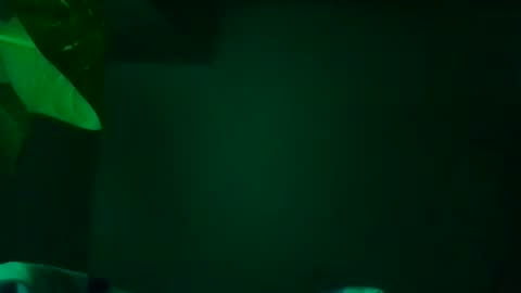 Snapshot of karla_gonzaless chatting on 11/13/25, 07:29 Karla Gonzaless online show from 11/13/25, 07:29