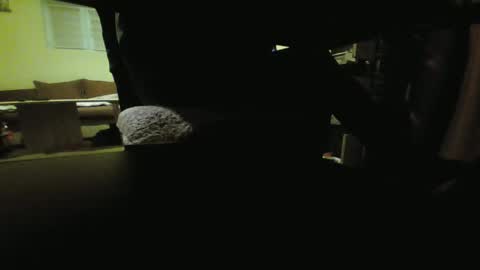 Snapshot of kaskaderns chatting on 01/19/25, 09:13 Stojko online show from 01/19/25, 09:13