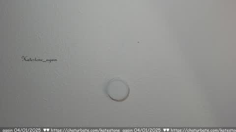 Snapshot of katestone_again chatting on 01/04/25, 02:35 love meeee online show from 01/04/25, 02:35
