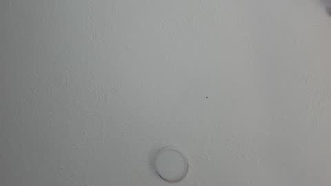 Snapshot of katestone_again chatting on 01/17/25, 03:32 love meeee online show from 01/17/25, 03:32