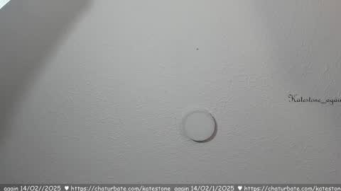 Snapshot of katestone_again chatting on 02/14/25, 07:44 love meeee online show from 02/14/25, 07:44