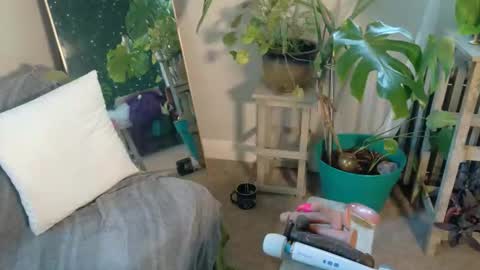 Snapshot of katieericson13 chatting on 10/01/25, 12:11 Kate online show from 10/01/25, 12:11