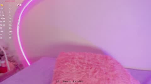 Katy  IGPeach kat666 online show from 01/07/25, 04:48