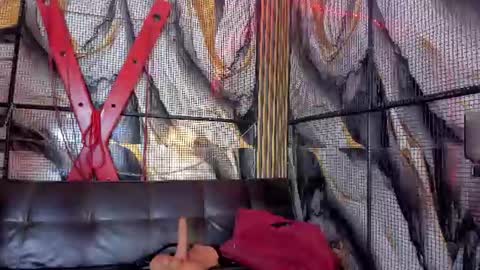kati online show from 06/11/26, 08:18