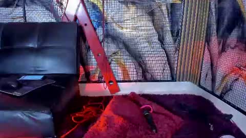 kati online show from 06/18/26, 08:25