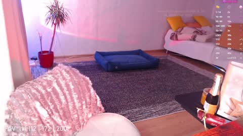 pvt open online show from 12/25/24, 03:18