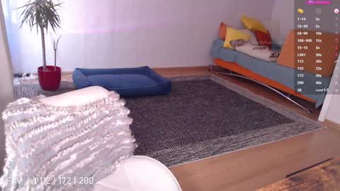 pvt open online show from 02/08/25, 11:01