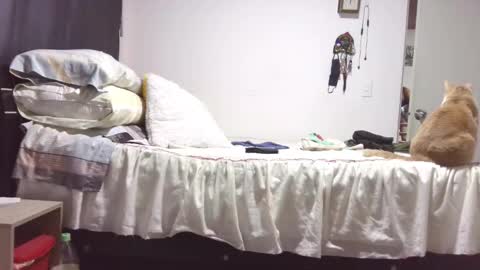 Snapshot of kawit1 chatting on 10/29/25, 12:07 Khawit online show from 10/29/25, 12:07