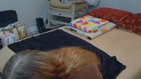 kaylee kakes online show from 06/23/26, 08:07