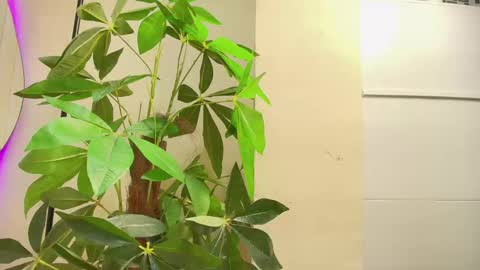 keila online show from 10/01/25, 12:00