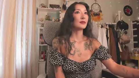 Leia online show from 07/17/26, 06:20
