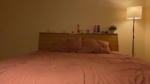 Snapshot of kellytwink chatting on 10/30/25, 04:41 Kelly online show from 10/30/25, 04:41