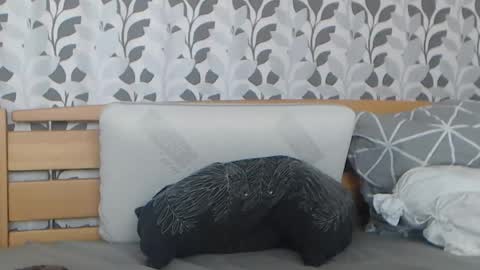 kelywild20 online show from 07/25/26, 07:06