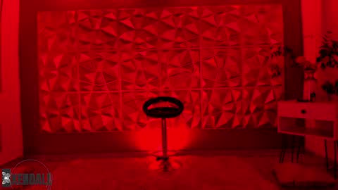 Kendall online show from 12/15/24, 12:18