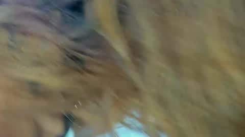 Snapshot of kendalstallyon chatting on 11/27/25, 09:28 Kendal online show from 11/27/25, 09:28