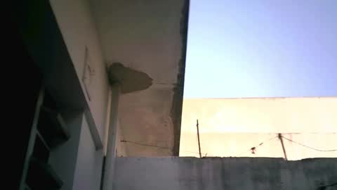 keny06 online show from 02/04/25, 07:55
