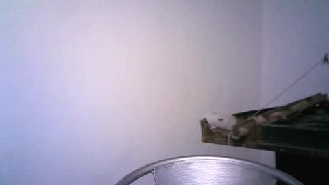 keny06 online show from 02/12/25, 03:51