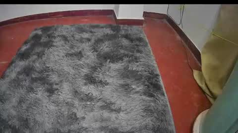 Keyla online show from 06/11/26, 05:44