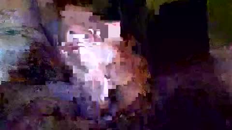 Snapshot of khrisdavis63 chatting on 10/21/25, 03:18 Khristopher Davis online show from 10/21/25, 03:18