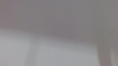 Melody online show from 10/11/25, 12:04