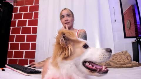 Kim  Yuk online show from 11/10/25, 12:42