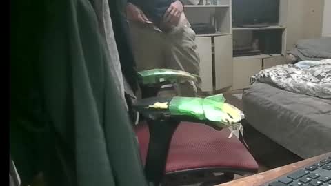 Snapshot of kinchan069 chatting on 11/09/25, 07:50 kinchan069 online show from 11/09/25, 07:50