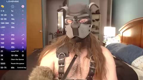 kinkywolf87 online show from 12/06/24, 06:50