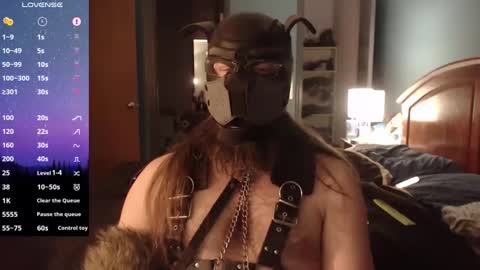 kinkywolf87 online show from 12/20/24, 07:12
