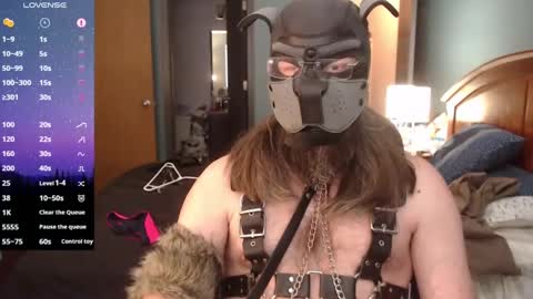 kinkywolf87 online show from 01/27/25, 08:49