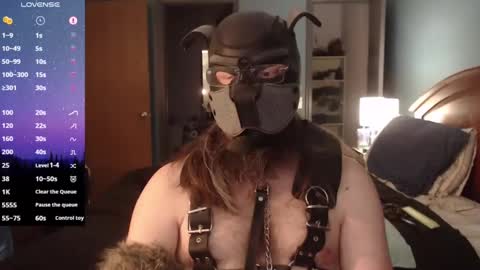 kinkywolf87 online show from 02/02/25, 09:56