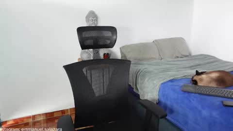 kite__ online show from 12/15/24, 03:53