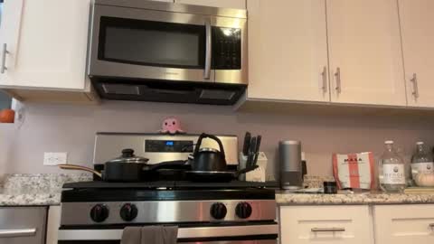 kittypurr79 online show from 11/25/25, 04:34