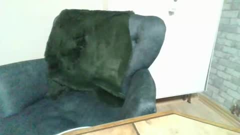 Palo313 online show from 11/03/25, 08:32