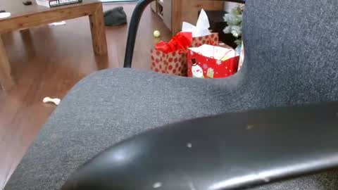 klok6187 online show from 12/23/24, 04:01