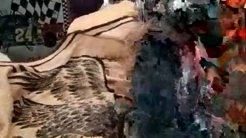 Snapshot of knock2wice1975 chatting on 01/05/25, 07:17 knock2wice1975 online show from 01/05/25, 07:17