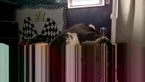 Snapshot of knock2wice1975 chatting on 01/20/25, 04:32 knock2wice1975 online show from 01/20/25, 04:32