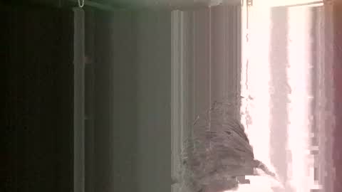 Snapshot of knock2wice1975 chatting on 01/26/25, 12:33 knock2wice1975 online show from 01/26/25, 12:33