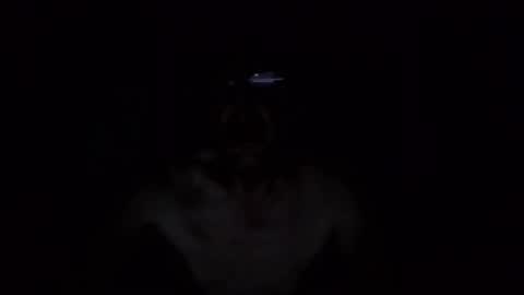 Snapshot of kobolt67 chatting on 10/09/25, 04:54 kobolt67 online show from 10/09/25, 04:54