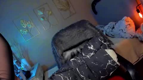 MISS ALICIA online show from 12/11/24, 04:49